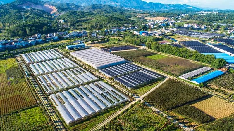 我集团公司入选2018年国家林业标准化示范企业 - 万秀园生态农业集团